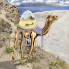 "Mystical Camel" Roaming Sahara Desert Egyptian Pyramids - Vinyl Print Poster
