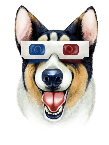 "Corgi 3D" Funny Puppy Dog Wearing Movie Glasses - Vinyl Print Poster