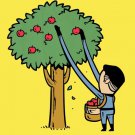 "Part-Time Job Apple Farm" Comic Parody - Plywood Wood Print Poster Wall Art