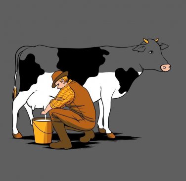 "Milking Out" Funny Man Milking Cow and Draining White Color - Vinyl Sticker