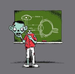 "Eye Lesson" Zombie Teaching Eyeball Anatomy Funny Humor - Vinyl Sticker