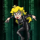 Plumbtrix Female Hero Character Video Game & Movie Parody - Vinyl Print Poster