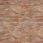 Bad Cats w/ Cop Funny Cartoon Tagged Brick Wall - Single Pillow Case