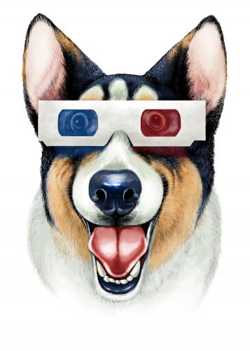 "Corgi 3D" Funny Puppy Dog Wearing Movie Glasses - Rectangle Refrigerator Magnet