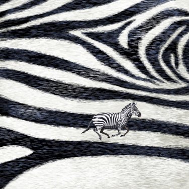 Zebra Skin Pattern Design Running Cute Animal - Vinyl Sticker