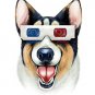 "Corgi 3D" Funny Puppy Dog Wearing Movie Glasses - Vinyl Sticker