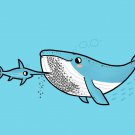 "Barnacle Beard" Humpback Whale & Sword Fish - Rectangle Refrigerator Magnet