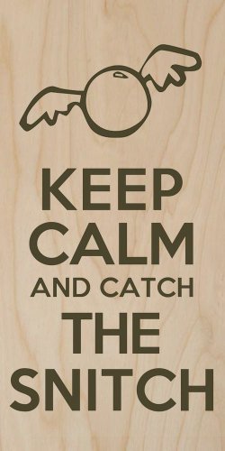 Keep Calm & Catch The Snitch - Plywood Wood Print Poster Wall Art