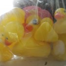 浮水鴨  yellow duck toy  T01001JPG