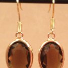 Brown Gem Earrings