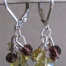Burgundy and Yellow Swarovski Cluster Earrings