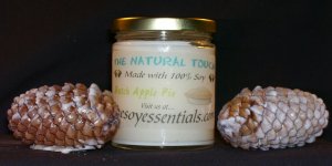 9 oz Soy Candle - Dutch Apple Pie