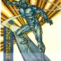 1994 - Marvel Cards - Universe - Silver Surfer - Insert Card - Acetate #5 of 10