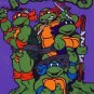 1990 - Mirage Studios - Teenage Mutant Ninja Turtles - Opened Playing Cards