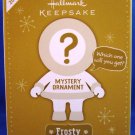 2012 - Hallmark - Keepsake - Mystery Ornament - Winter Fairy - Christmas Ornament