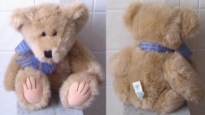 THEODORE 1998 WISHPETS A WISH COME TRUE PLUSH BEAR