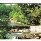 Aysgarth Falls Wensleydale Postcard. Mauritron 220660
