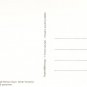 Aldborough Roman Town Tesselated Pavement Postcard. Mauritron 220714