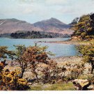 Derwentwater and Causey Pike Postcard. Mauritron 248381