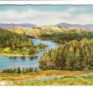 Tarn Hows Cumbria Lake District Postcard. Mauritron 248411