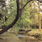 Ornamental Drive New Forest Brockenhurst Postcard. Mauritron 248435