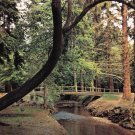 Ornamental Drive New Forest Hampshire Postcard. Mauritron 248442