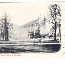 Winchester Cathedral  Postcard. Mauritron 248444