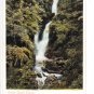 Stock Ghyll Force Cumbria Postcard. Mauritron 249760