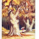 The King and Queen Boldrewood New Forest Postcard. Mauritron 249787
