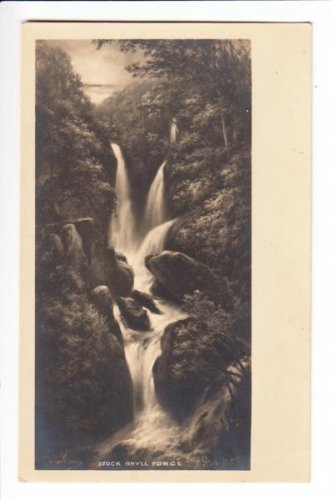 Stock Ghyll Force Cumbria Postcard. Mauritron 249796