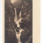 Stock Ghyll Force Cumbria Postcard. Mauritron 249796