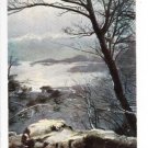 Derwentwater and Skiddaw from Above Lodore Postcard. Mauritron 249815