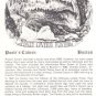 Pools Cavern Buxton Derbyshire Postcard. Mauritron 249827