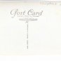A Forest Drive Lyndhurst Postcard. Mauritron 249838