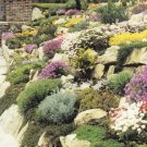 Rockery at Poultons Park Romsey Hants Postcard. Mauritron 249840