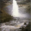 Hardraw Force Wensleydale Yorkshire Postcard. Mauritron 249846