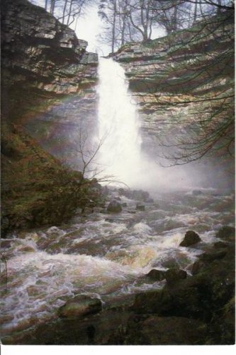 Hardraw Force Wensleydale Yorkshire Postcard. Mauritron 249846
