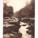Bolton Woods The Strid Postcard. Mauritron 249851