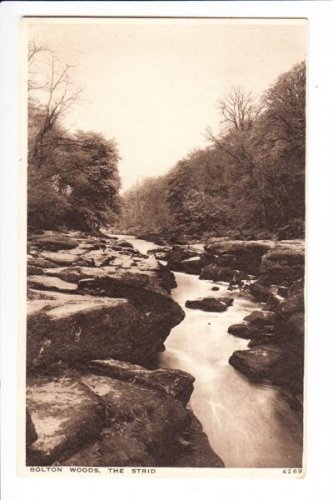 Bolton Woods The Strid Postcard. Mauritron 249851