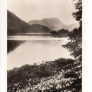 Wordsworths Daffodils by Ullswater Postcard. Mauritron 249877