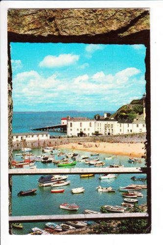 The Harbour Tenby Brother Thomas Garden Postcard. Mauritron 249903