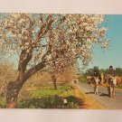 Postcard. Algarve Portugal  Mauritron #78249