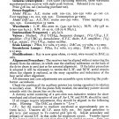 Bush PB22 Vintage Wireless Service Schematics PDF download.
