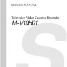 TOSHIBA MV19H01 Service Information by download #92276
