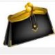 Wallets and Clutch Purse
