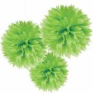 Kiwi Fluffy Hanging Decoration