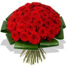 50 Long Stem Red Roses
