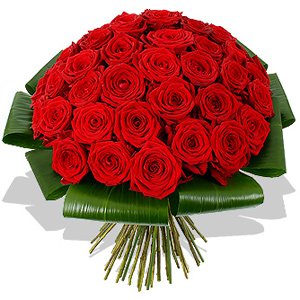 50 Long Stem Red Roses