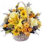 Sunshine Basket