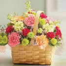 Basket Of Carnations